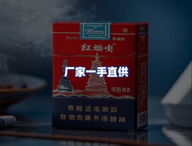 专业团队